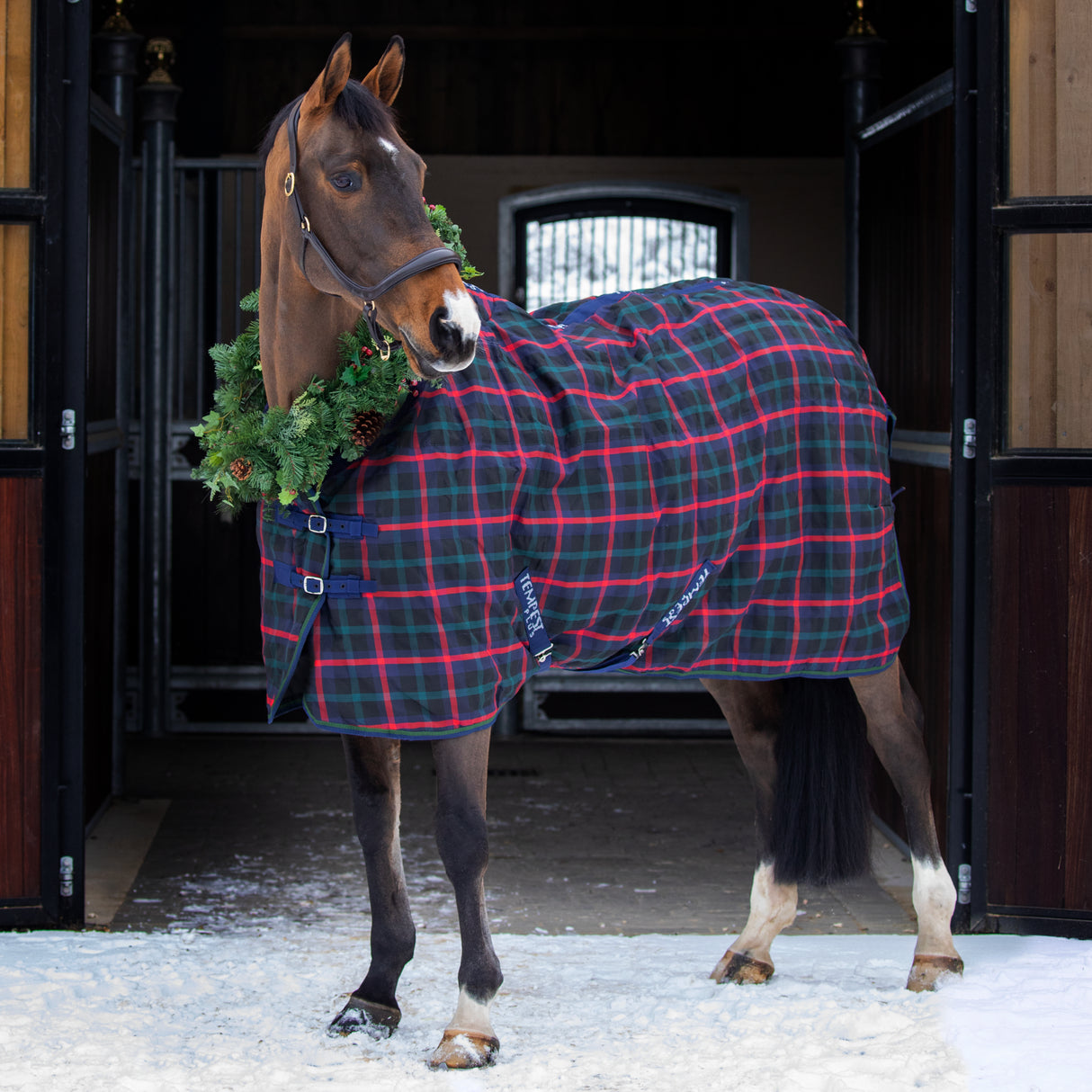 Shires Tempest Plus 100g Stable Rug #colour_green-check