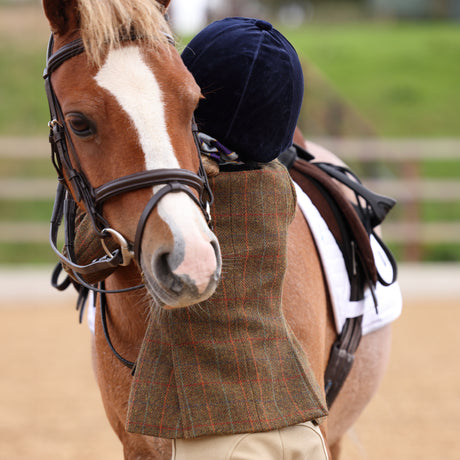 Shires Aubrion Saratoga Children's Jacket #colour_rust-check