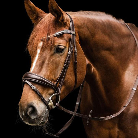 Waldhausen S-Line Essential Bridle #colour_brown