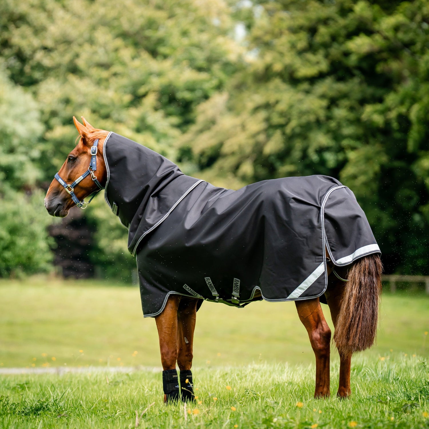 Horseware Ireland Rambo Supreme 1680D Turnout Plus 0g #colour_black-thunderstorm-grey-silver