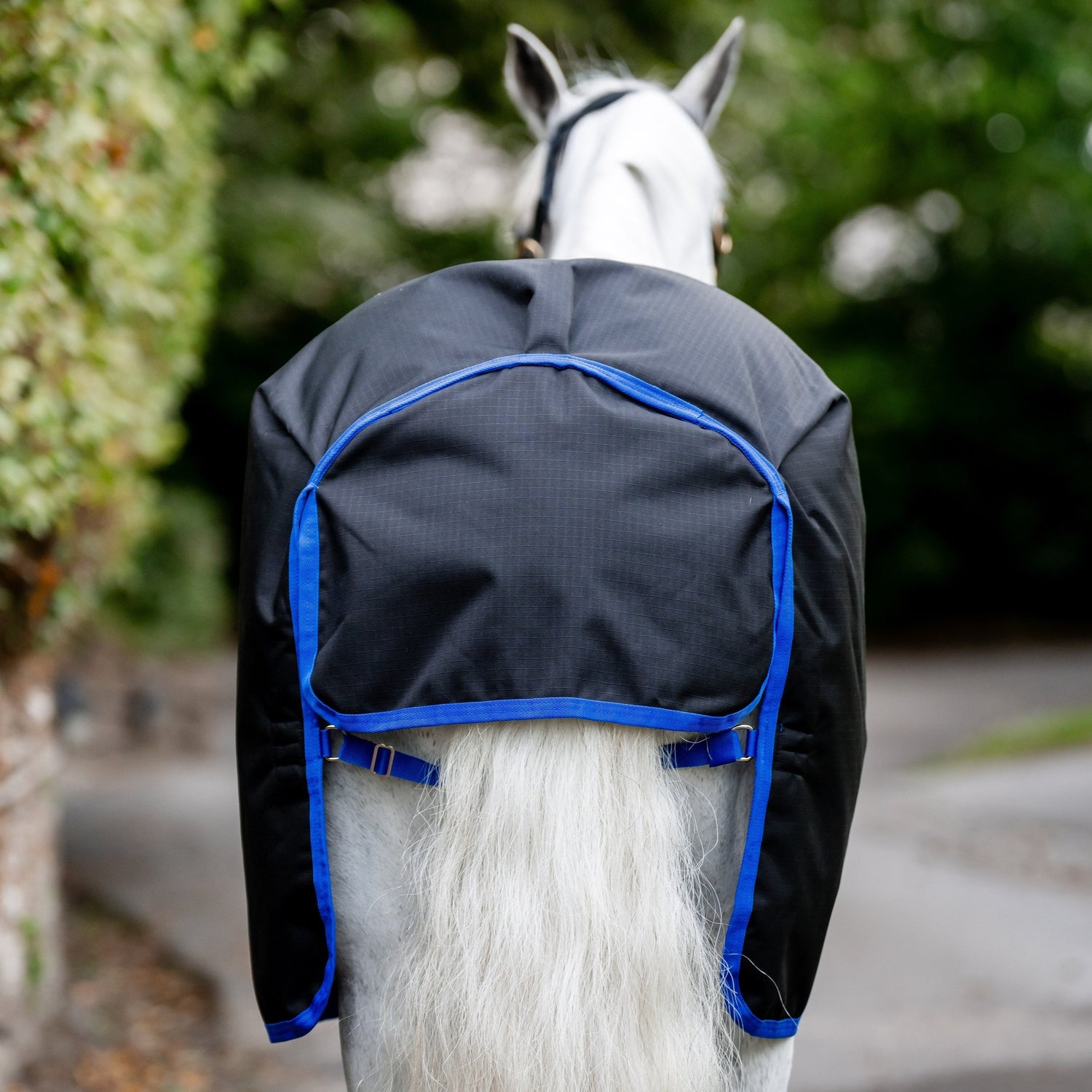 Horseware Ireland Amigo Ripstop 900 0g Turnout Rug #colour_black-classic-blue