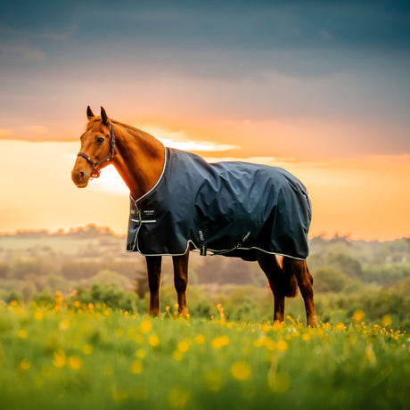 Horseware Ireland Amigo Ripstop 900 Fleece Lined 50g #colour_witney-navy