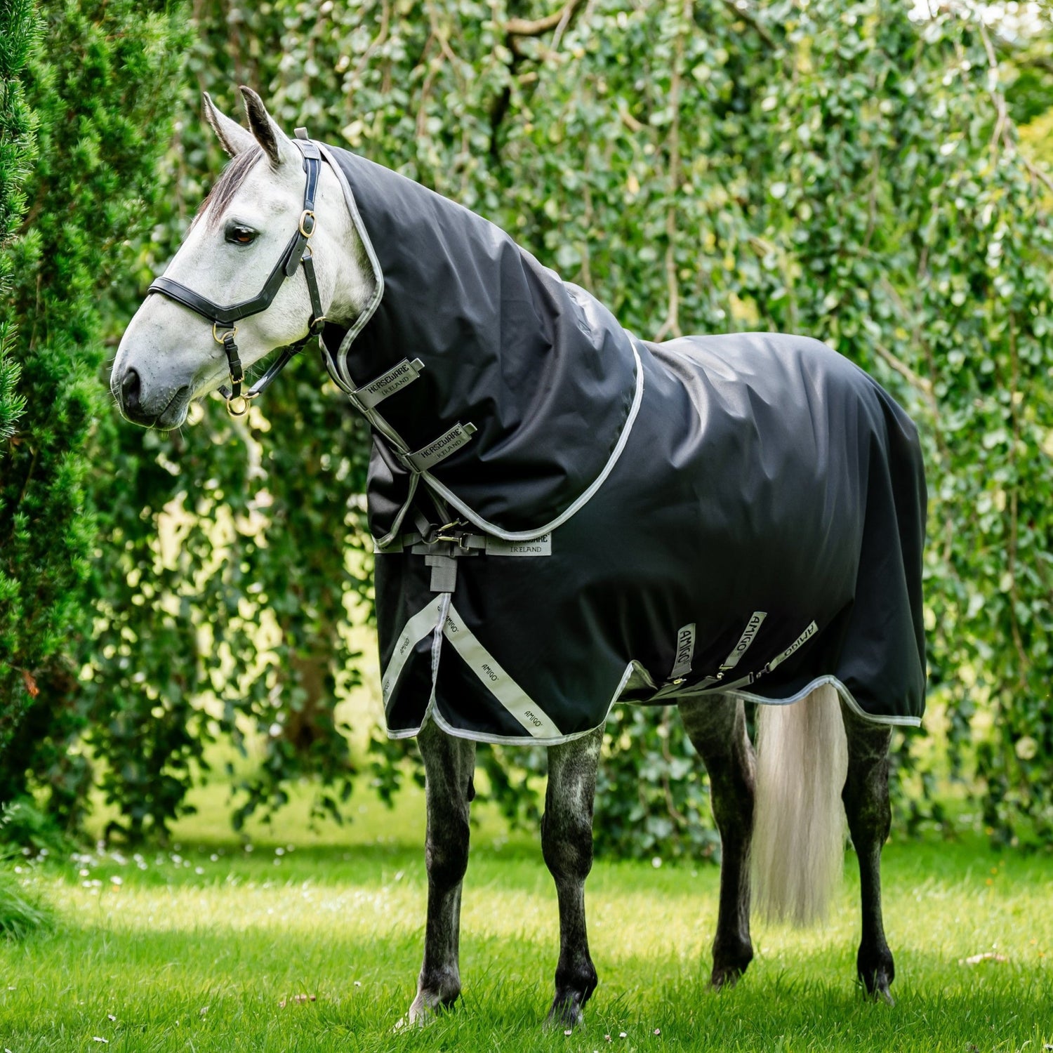 Horseware Ireland Amigo Bravo 12 Plus 100g #colour_black-titanium-grey-silver