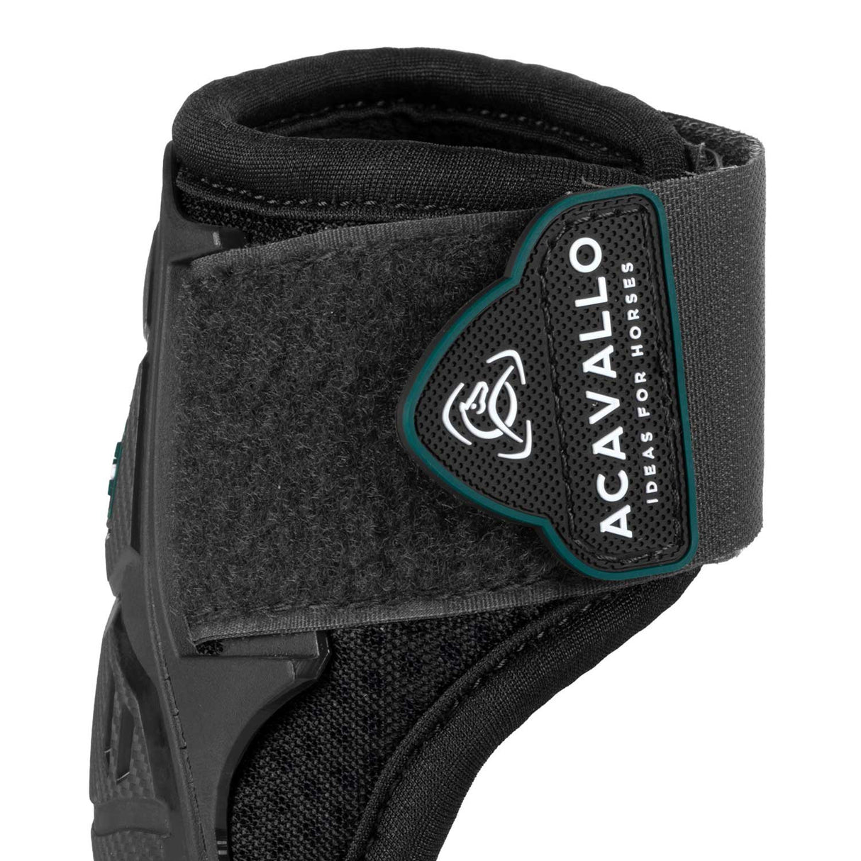 Skeleton Dynamic Zone Fetlock