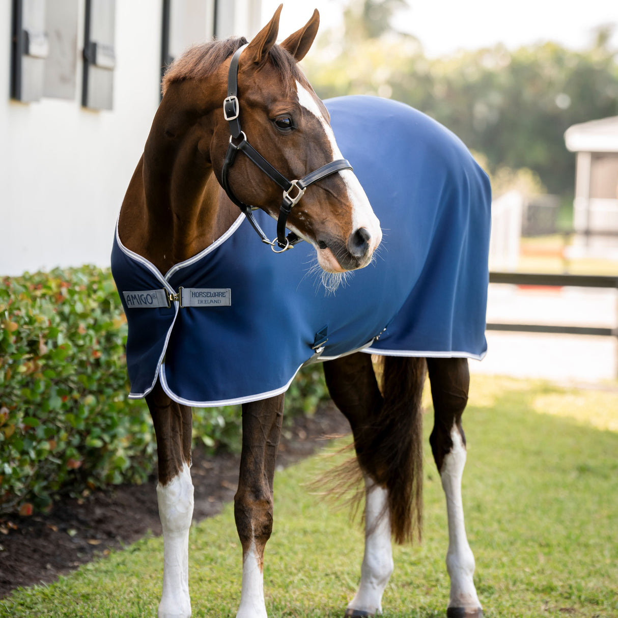 Horseware Ireland Amigo Jersey Cooler #colour_navy-titanium-grey-silver