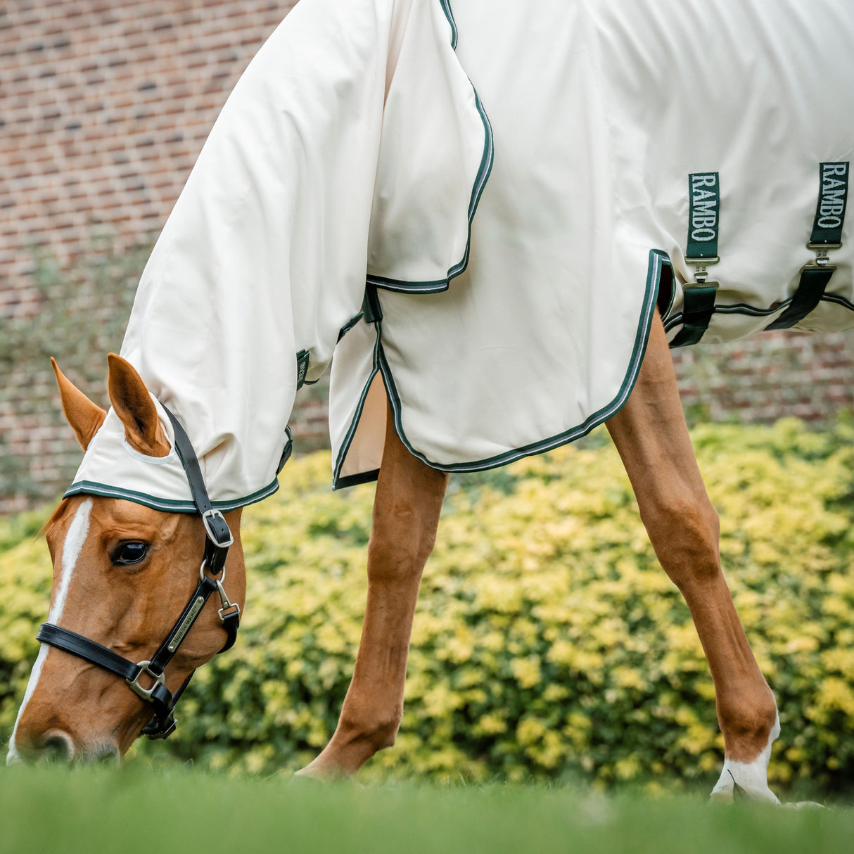 Horseware Ireland Rambo Hoody #colour_chalk-hunter-green-silver