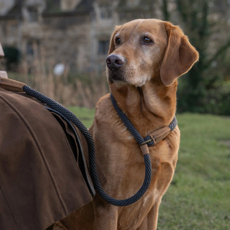 Ruff & Tumble Thick Slip Dog Lead #colour_charcoal