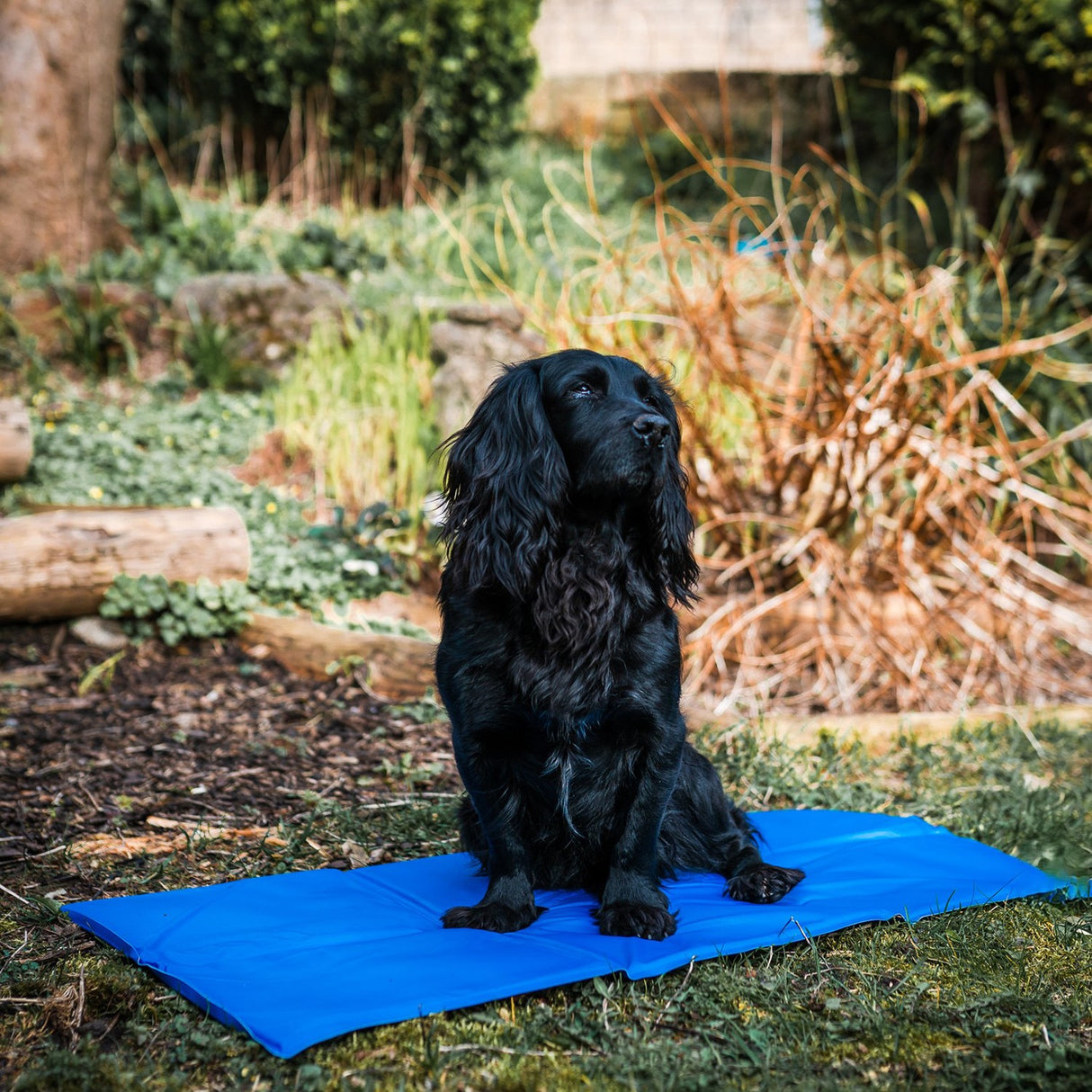 Danish Design Pet Cooling Mattress