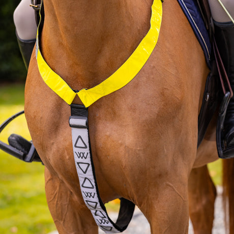 Woof Wear Hi Vis Neck Band #colour_yellow