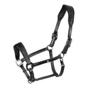 Leather halter with glittery piping