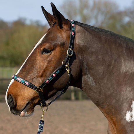 Gallop Premium Padded Leather Headcollar #colour_pink-aqua