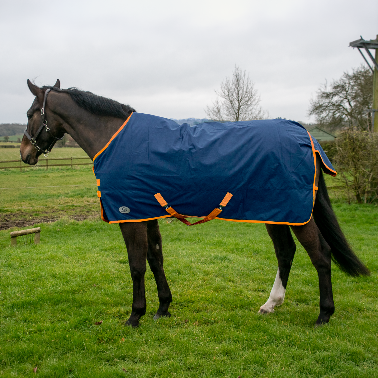 GS Equestrian Standard Neck 200g Weidedecke
