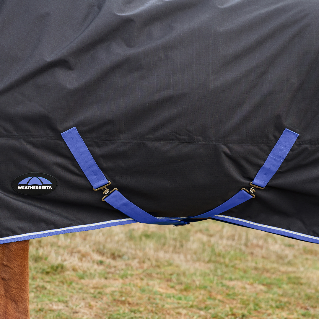 Weatherbeeta Comfitec Tyro 220G Standard Neck Turnout #colour_black-cobalt