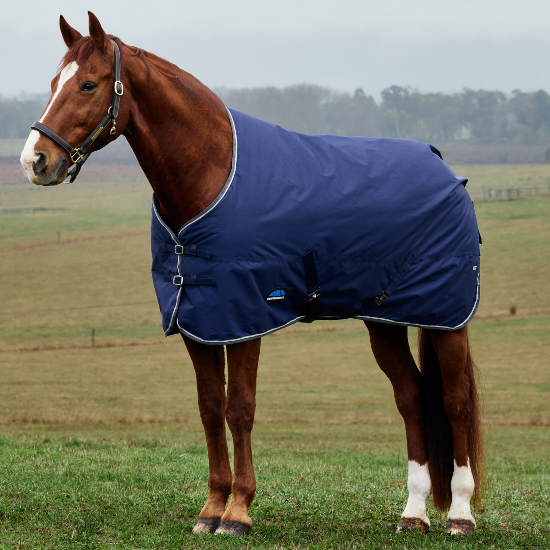 Weatherbeeta Comfitec Tyro 50G Standard Neck Turnout #colour_navy-charcoal