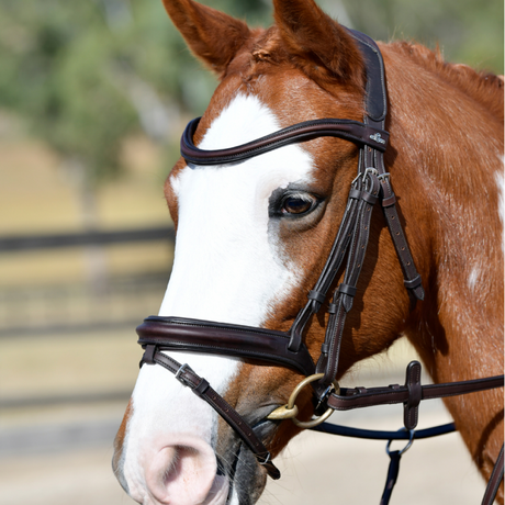 Collegiate Comfitec Opulux Plain Padded Hanoverian Flash Bridle #colour_dark-brown