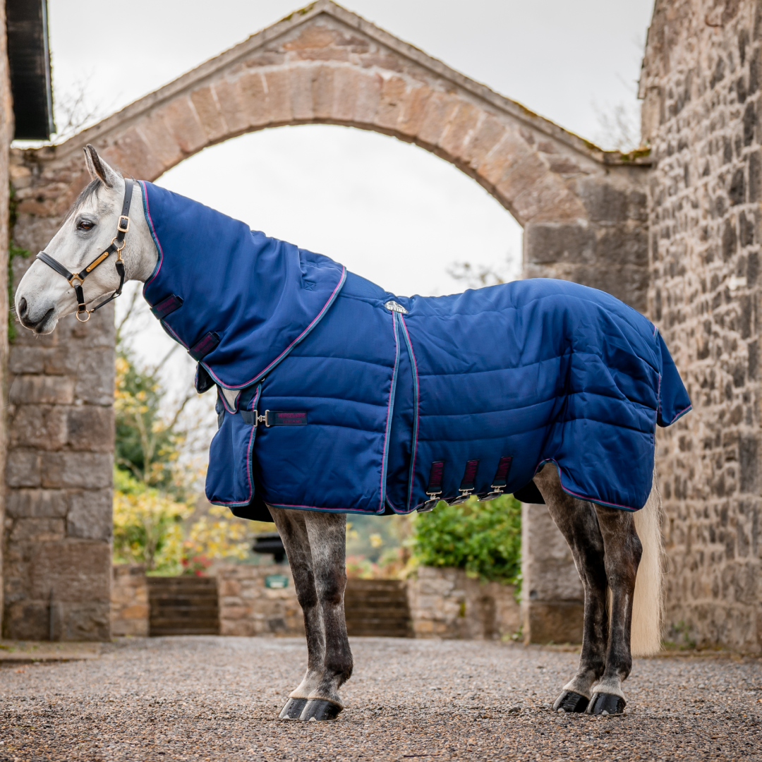 Horseware Ireland Rambo Optimo 200g Plus Stable Rug #colour_navy-burgundy-teal-navy
