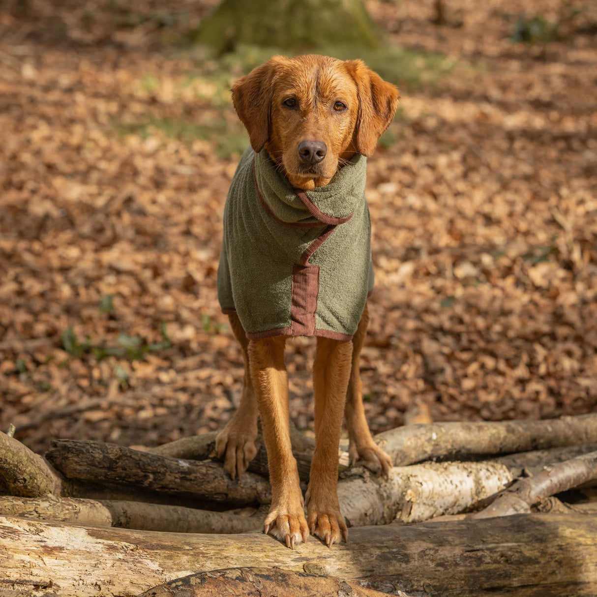 Ruff & Tumble Country Dog Drying Coat #colour_moss