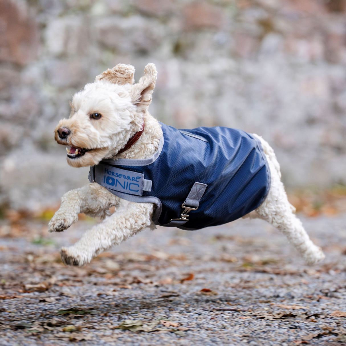 Horseware Ireland Ionic 50g Therapy Dog Coat #colour_imperial-blue-silver-navy