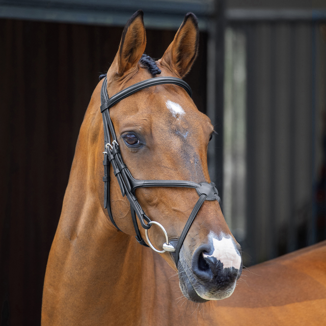 Shires Lusso Grackle Bridle #colour_black