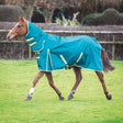 Bridleway Ontario 100g Combo Turnout Rug #colour_green