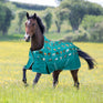 Bridleway Ontario 100g Turnout Rug #colour_green-horse