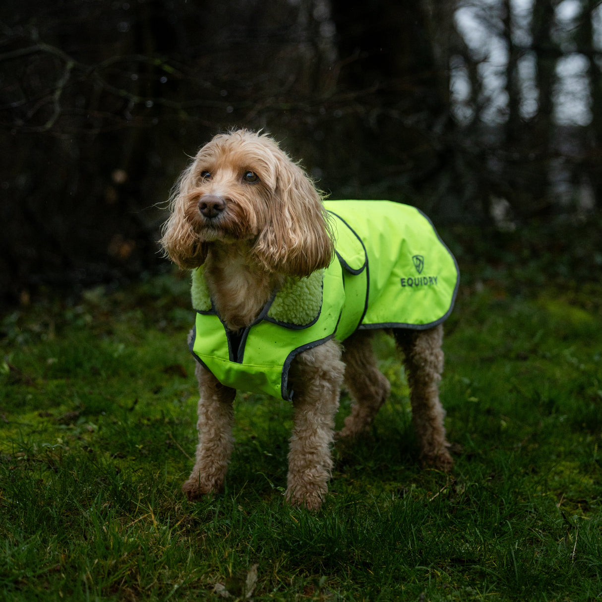EQUIDRY Hi Vis Dog Coat