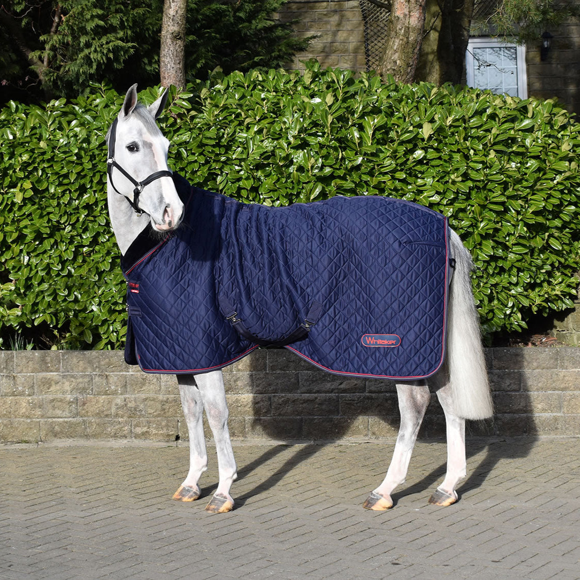 Whitaker Rastrick Cosy Stable Rug #colour_navy