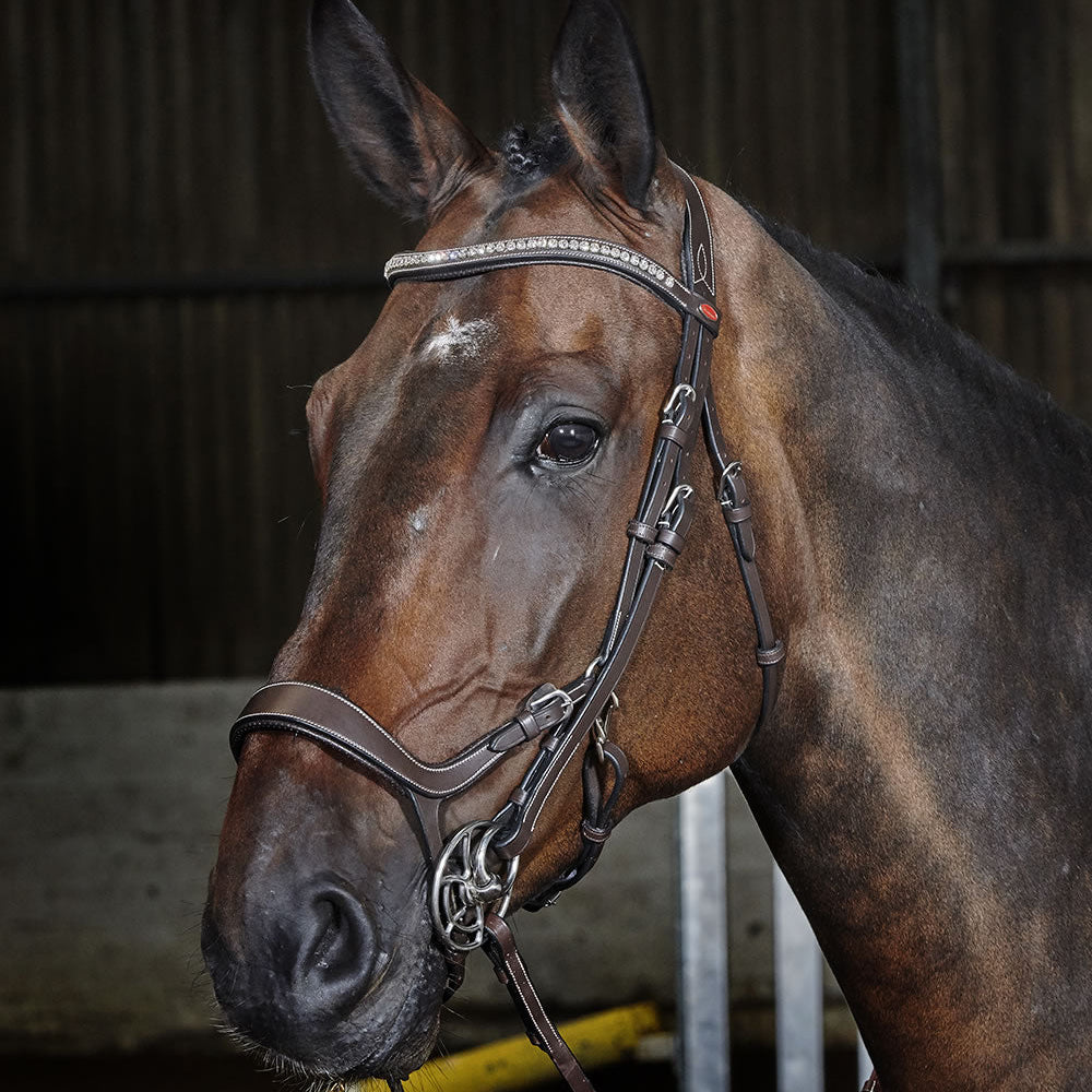 Whitaker Chicago Anatomic Bridle With Reins #colour_havana