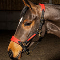 Whitaker Harewood Headcollar #colour_red-black