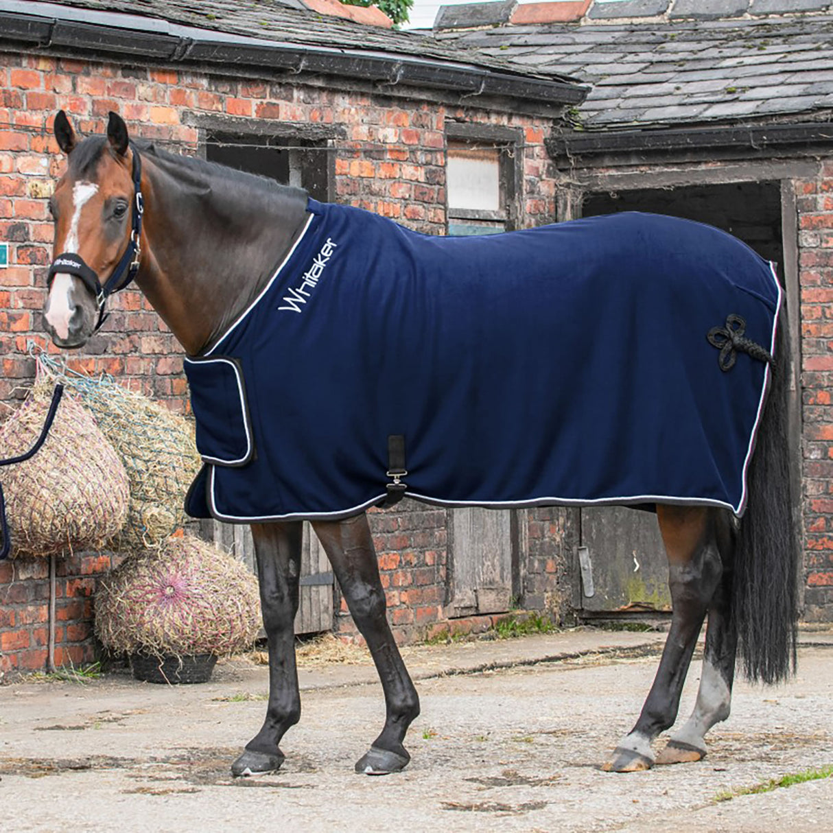Whitaker Club Show Rug #colour_navy