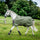 Horseware Ireland Amigo Hero Ripstop Lite 0g #colour_bramble-winterberry-taupe