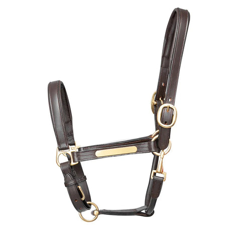 Collier de tête en cuir Hy