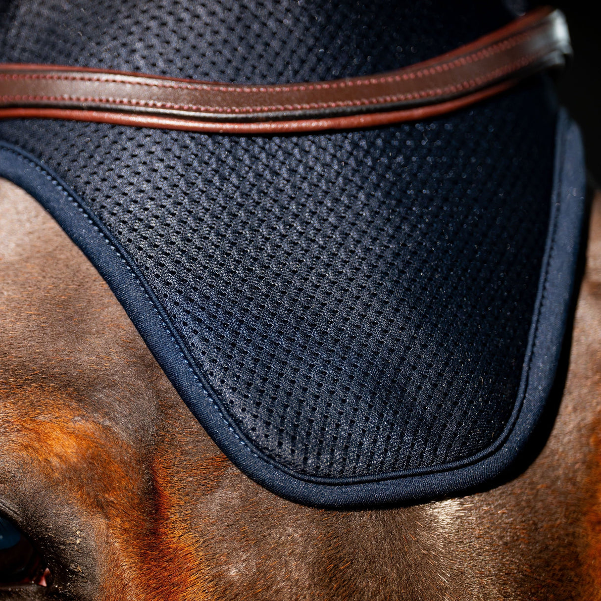 Horseware Ireland Amigo Ear Net #colour_navy