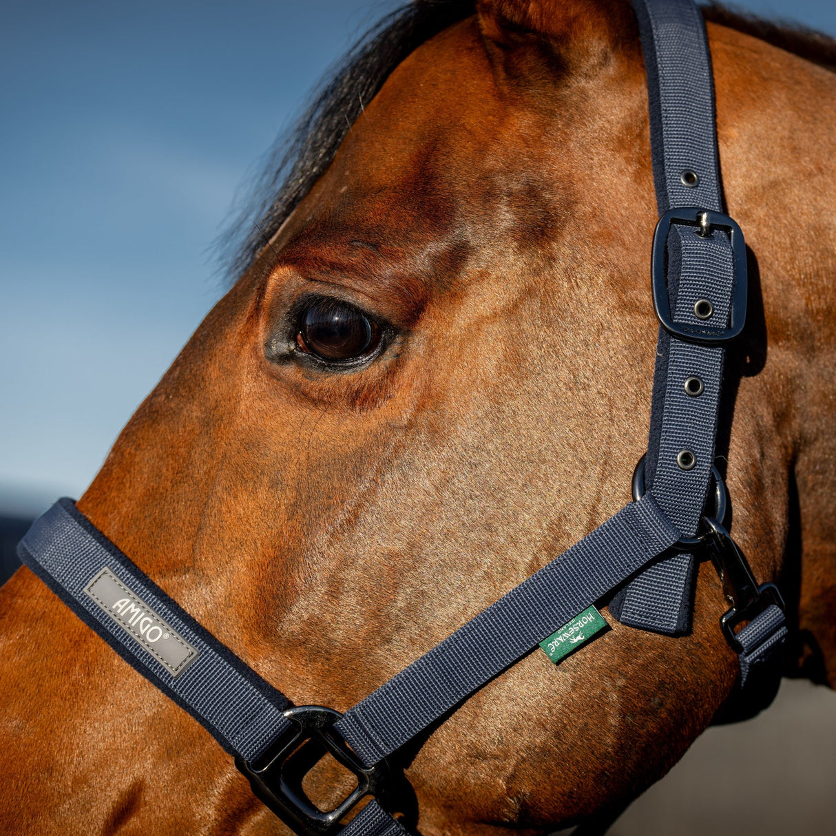 Horseware Ireland Amigo Headcollar & Leadrope Set #colour_navy