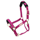 Licol Shires Topaz en nylon