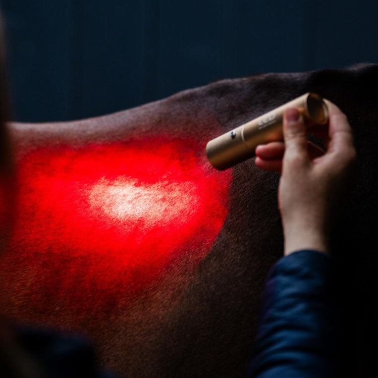 Horseware Ireland LED Red Light Therapy Wand #colour_black-black