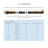 Pampeano Pampa Dog Collar