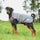 Weatherbeeta Comfitec Premier Free Parka Deluxe Dog Coat Medium #colour_grey-burgundy