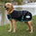 Weatherbeeta Green-Tec 900D Dog Coat Lite Plus #colour_black-bottle-green