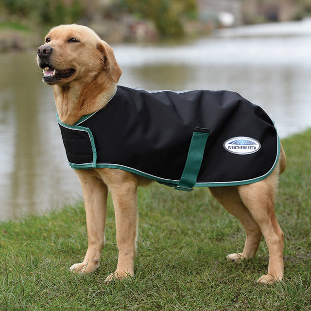 Weatherbeeta Green-Tec 900D Dog Coat Lite Plus #colour_black-bottle-green