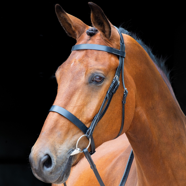 Shires Salisbury Berrington Bridle #colour_black