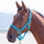 Shires Topaz Nylon Headcollar #colour_blue