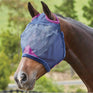 #colour_navy-purple