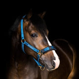 Licol stable Stubben avec fil réfléchissant