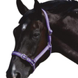 #colour_purple-silver