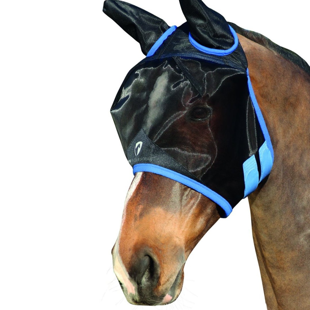 #colour_black-palace-blue