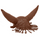 #colour_brown