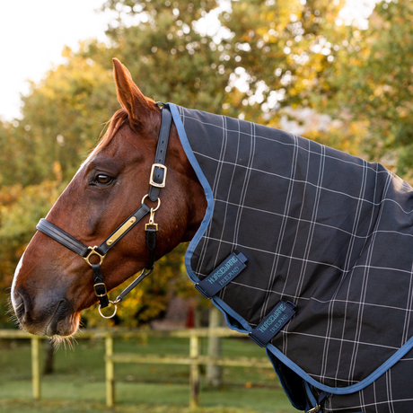 Horseware Ireland Rhino Reflectech Plus 250g Turnout Rug with Vari-Layer #colour_navy-indigo