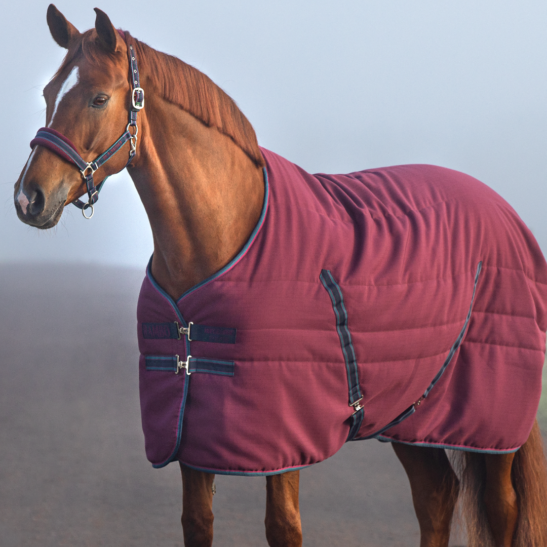 #colour_burgundy-teal-navy