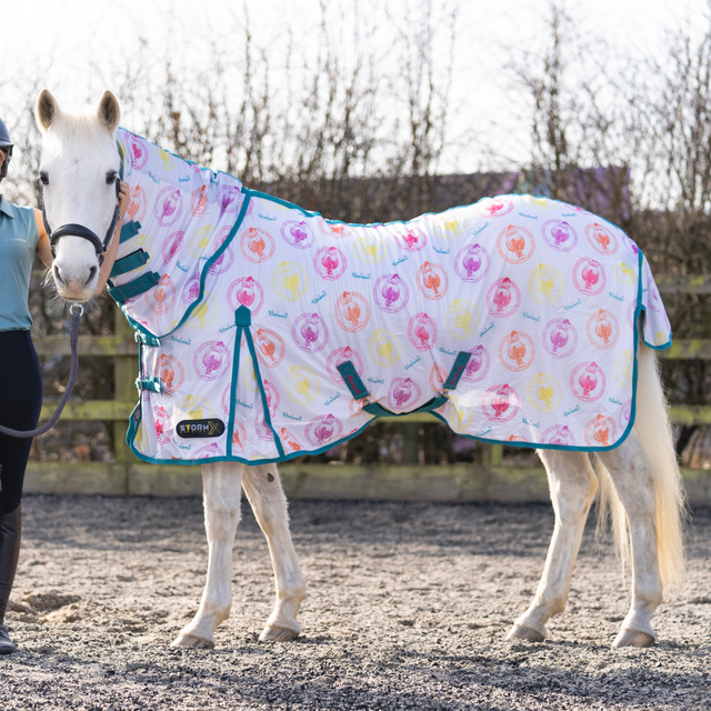 StormX Original All Rounder Combi Fly Rug #colour_aquarius-rouge-pink-teal